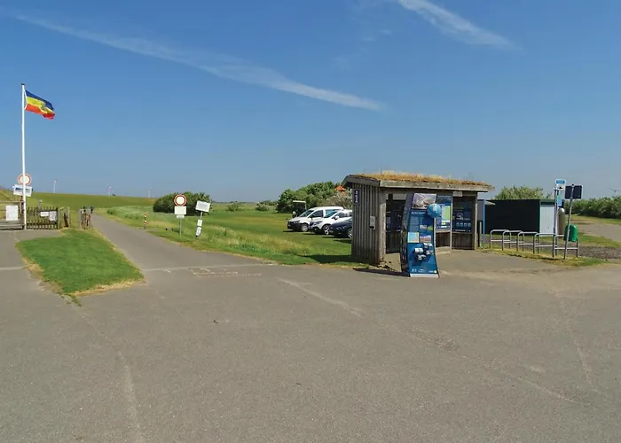 Strandlaeufer * Warwerort